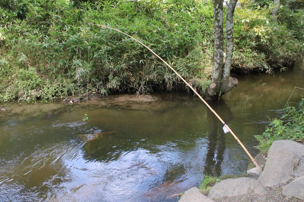 エステーQ編集部 / 岩手県遠野市『カッパ淵』に行ったら正直な運転手 