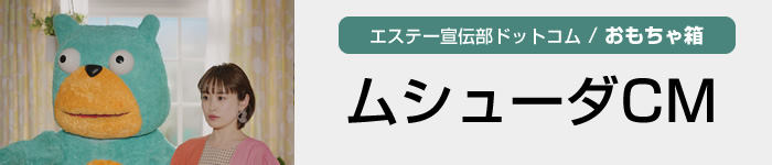 ムシューダ / おもちゃ箱